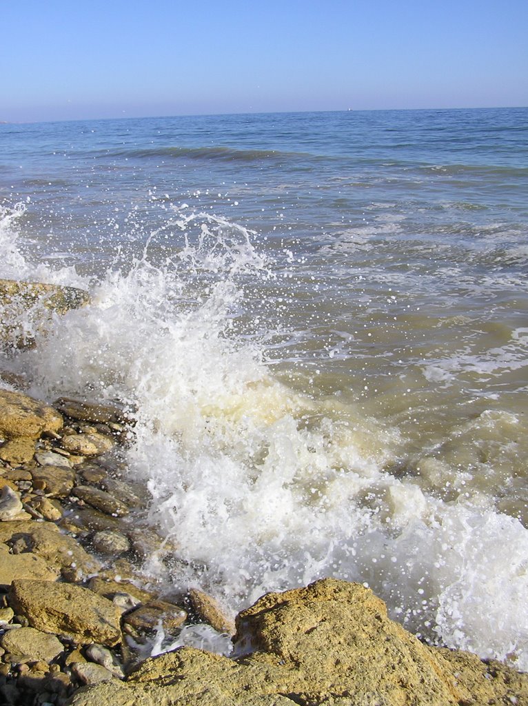 Хвилі Чорного моря, Южный