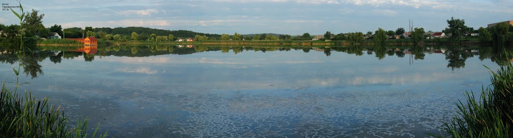 Панорама на ставок в В.Багачці, Великая Багачка