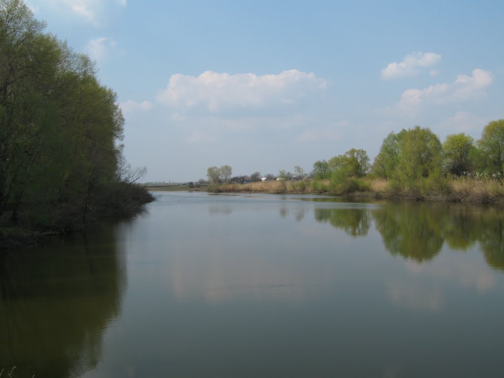 Вид на пруд с плотины, Глобино