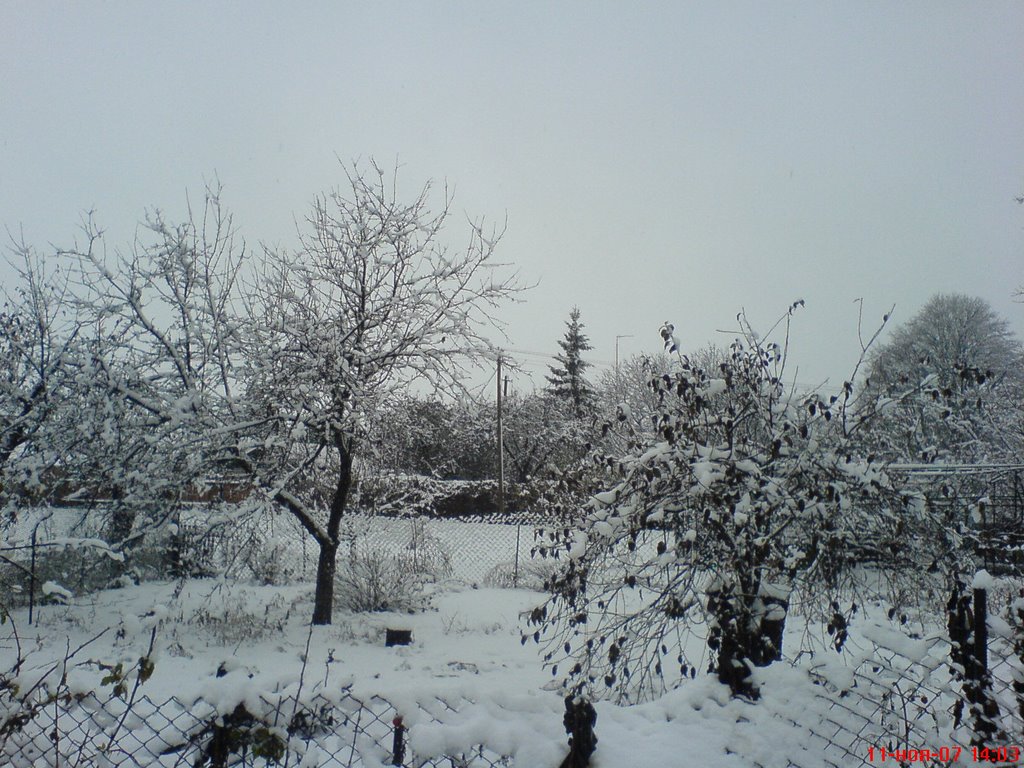 Зима, Глобино