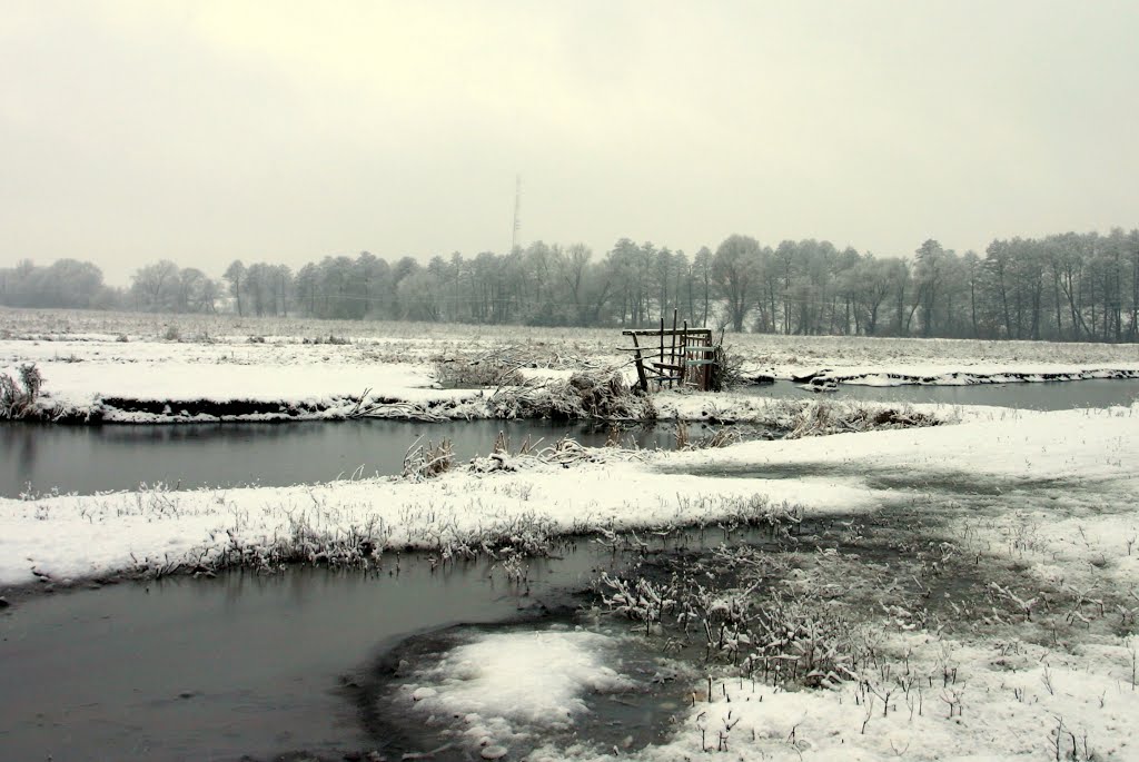 Winter swamp, Гребенка