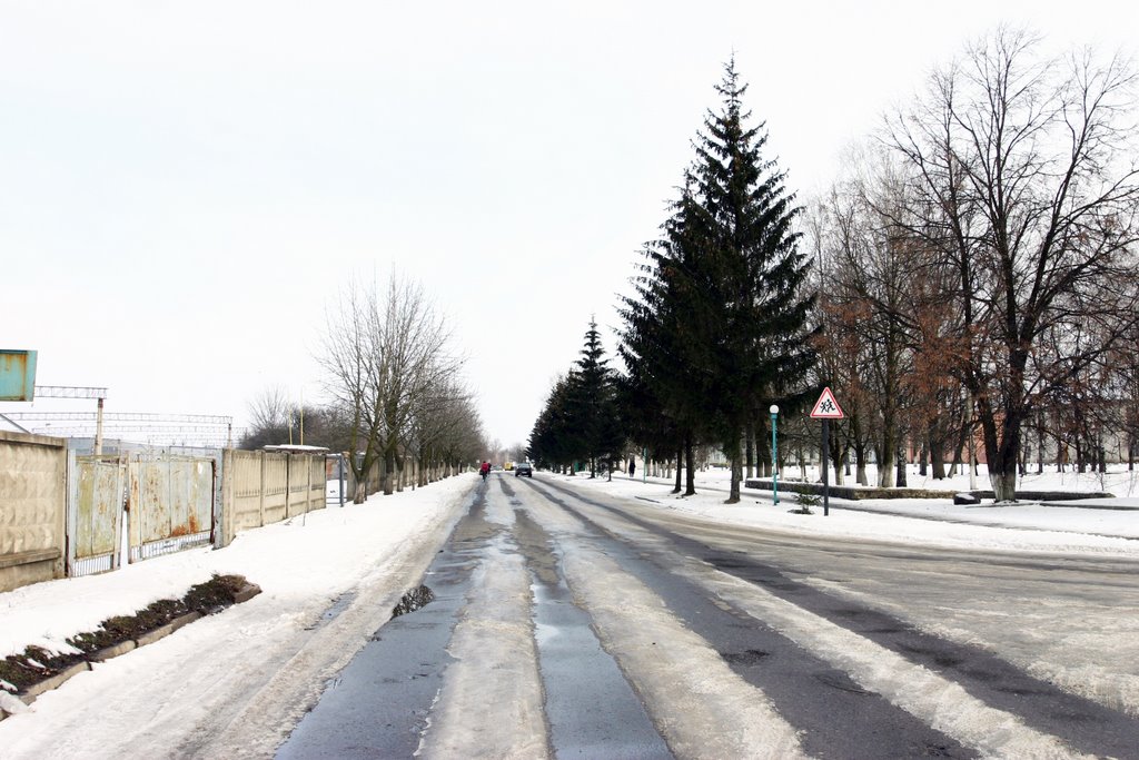 Petrovsky street, Гребенка
