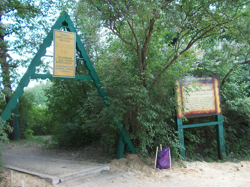 entrance to the lilac grove, Диканька