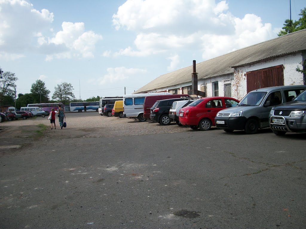 parking at the park, Диканька
