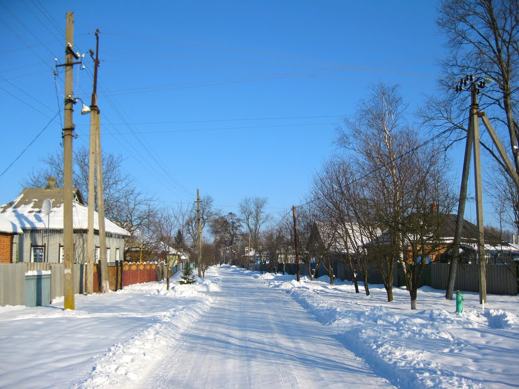 2010. Місто Зіньків. Вулиця Щорса, Зеньков