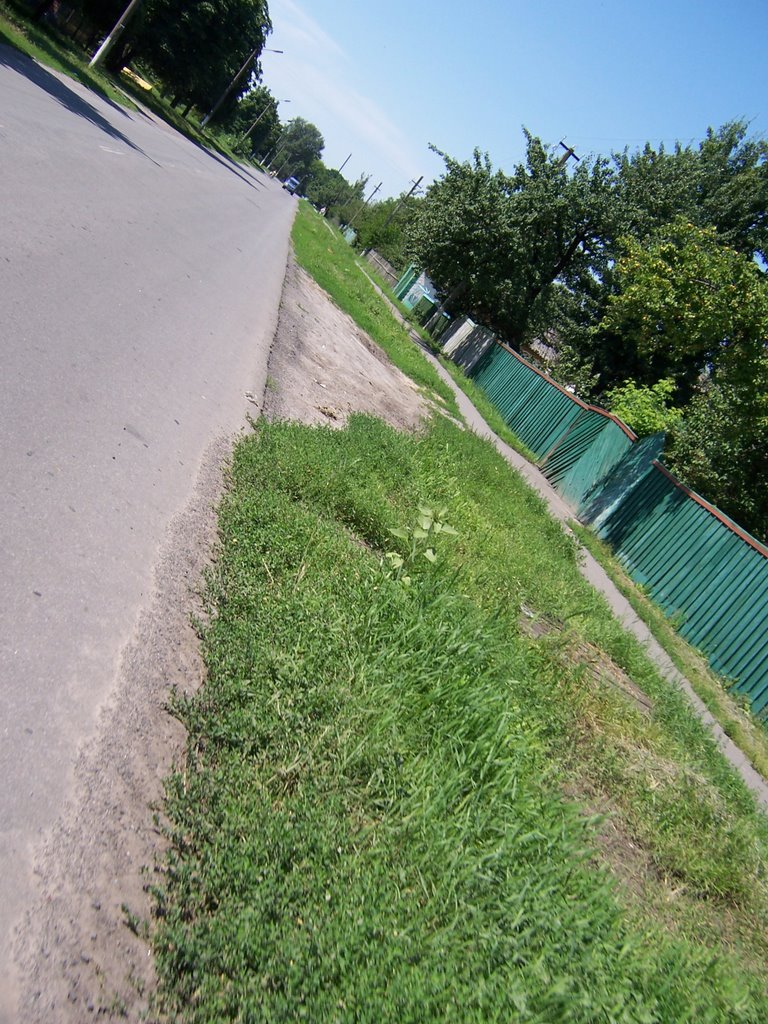road in kozelshcyna, Козельщина
