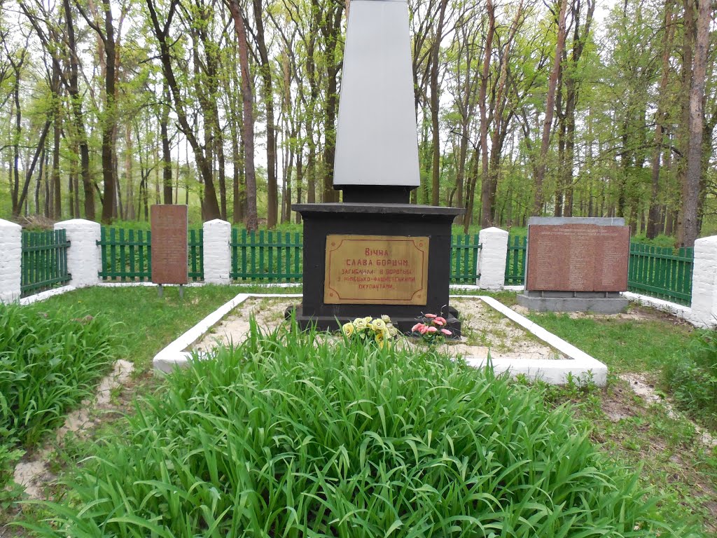 Могила моего прадедушки, Давиденко И.Ю, убитого фашистами, Лохвица