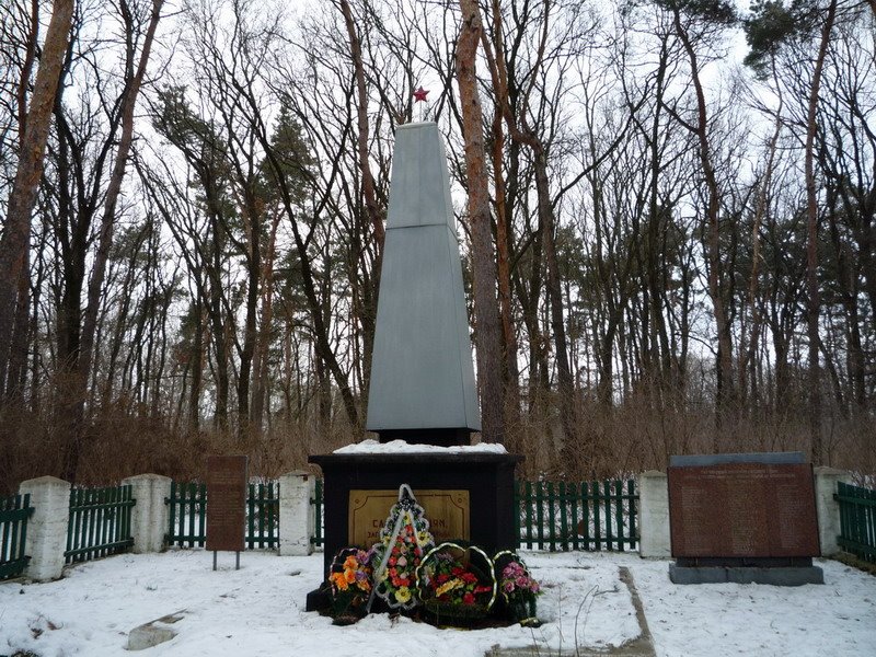 Памятник "Вічна слава борцям, загиблим в боротьбі з німецько-фашистськими окупантами" в сосновому парку, Лохвица