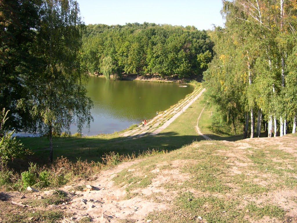 Вид на пруд с ул. Новоселецкой, Лубны