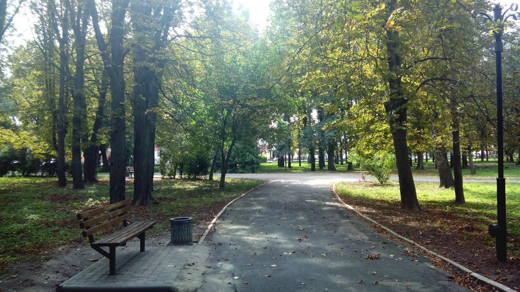 Парк Донченка, Лубны