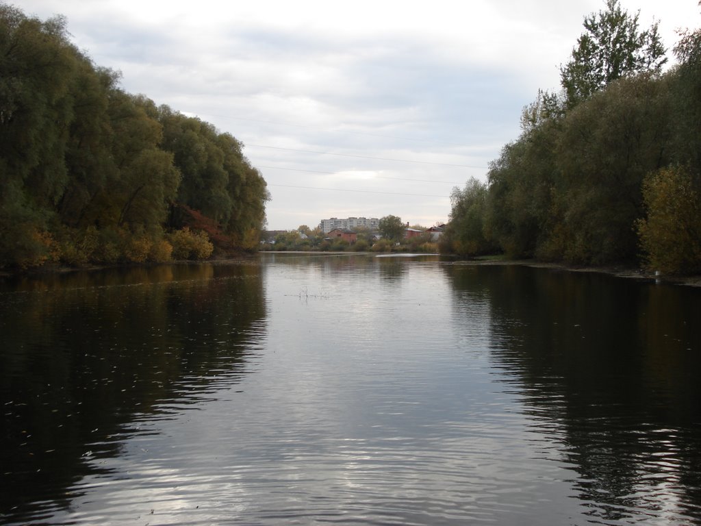 Хорол-річка, Миргород