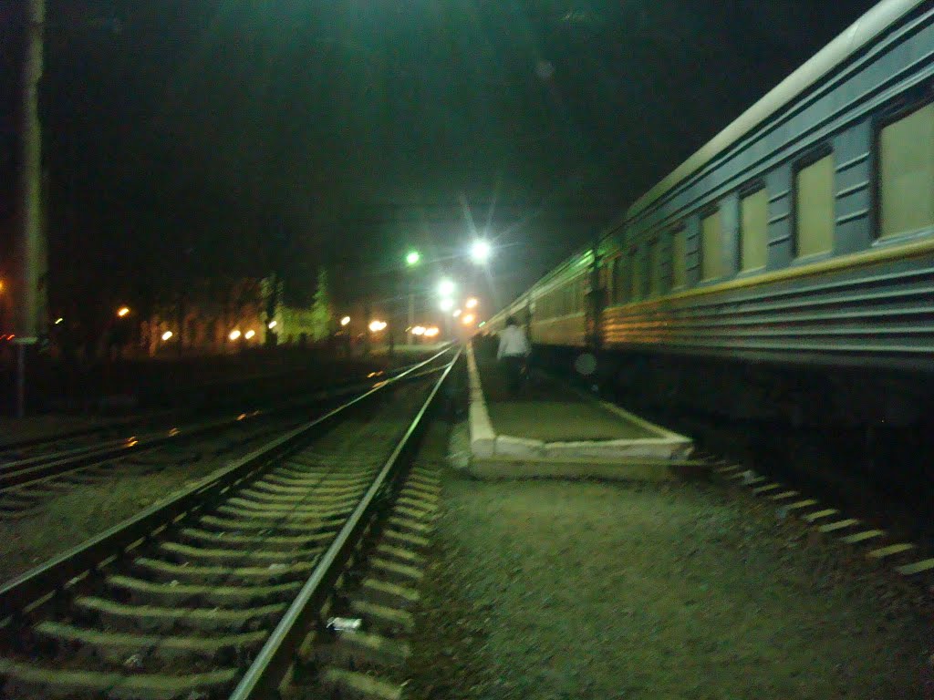 Станция Миргород, полночь, поезд Хмельницкий-Дебальцево, Миргород