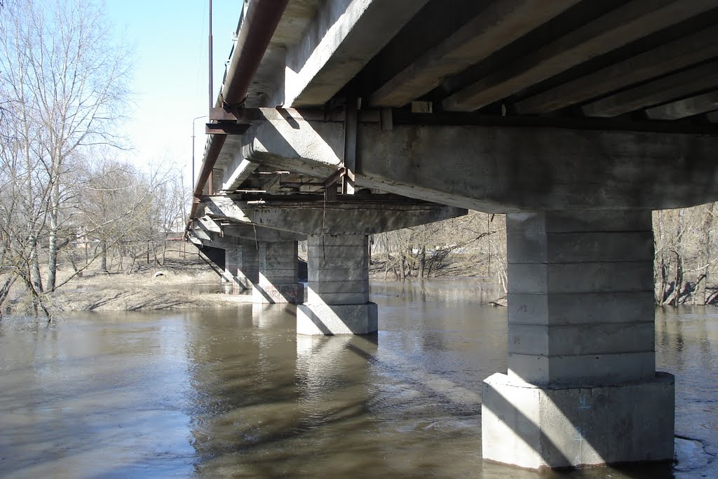 Міст через Ворсклу в Нових-Санжарах, березень 2010, Новые Санжары