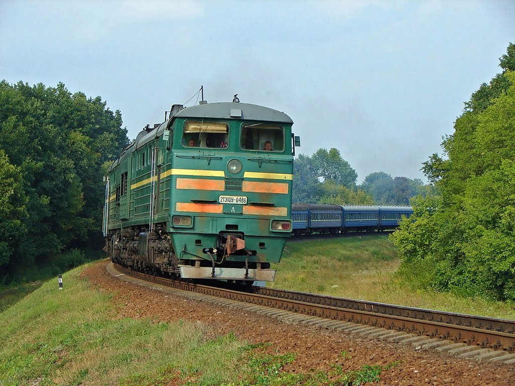 Тепловоз 2ТЭ10У-0486 с пассажирским поездом, Оржица