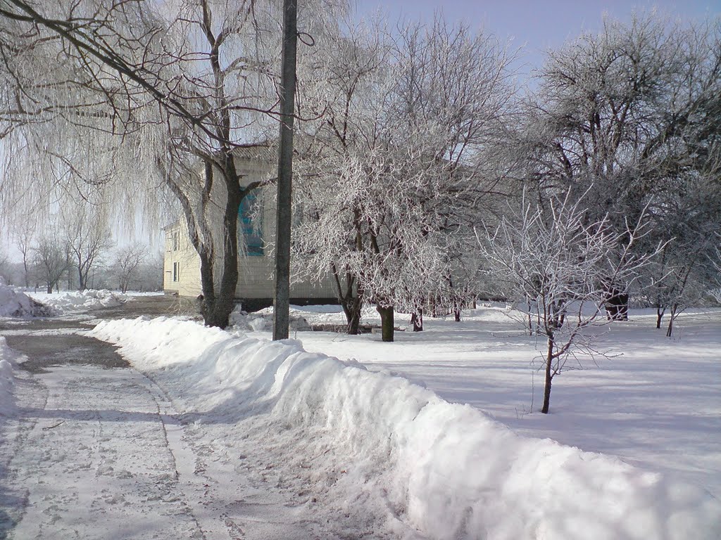 Школа зимой, Оржица