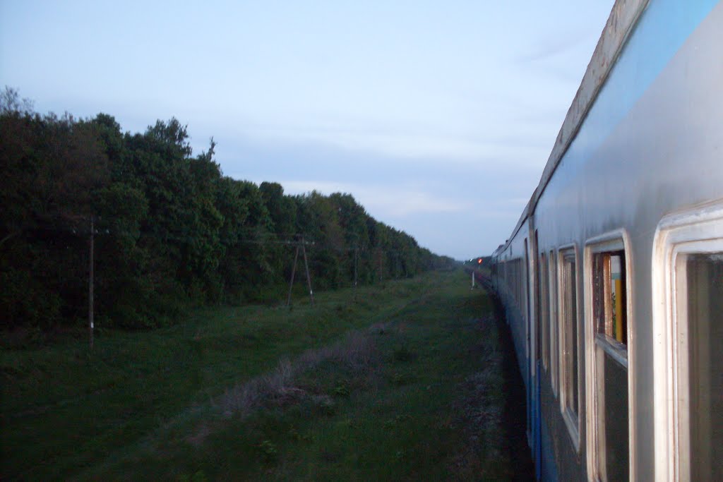 поезд гребёнка шевченко последовал станцию оржица, Оржица