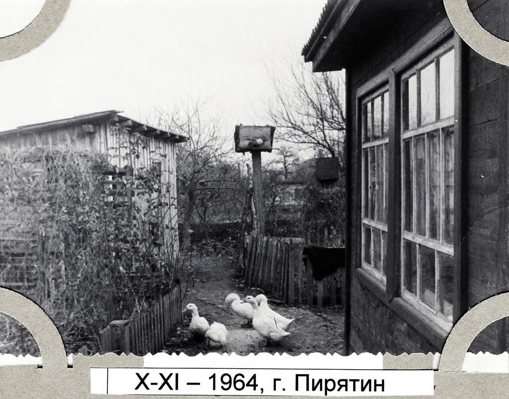 Пирятин, 1964 год, Пирянтин
