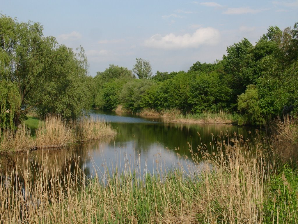 Говтва/ River Govtva at Poltava, in the village Reshetilovka., Решетиловка