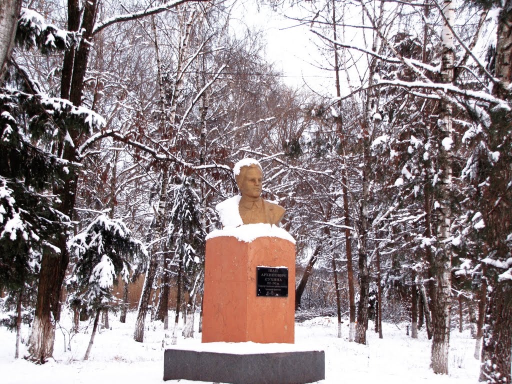 Памятник закатованому фашистами у 1942р. Івану Сухині. Memorial for tortured soldier Ivan Suhina., Семеновка