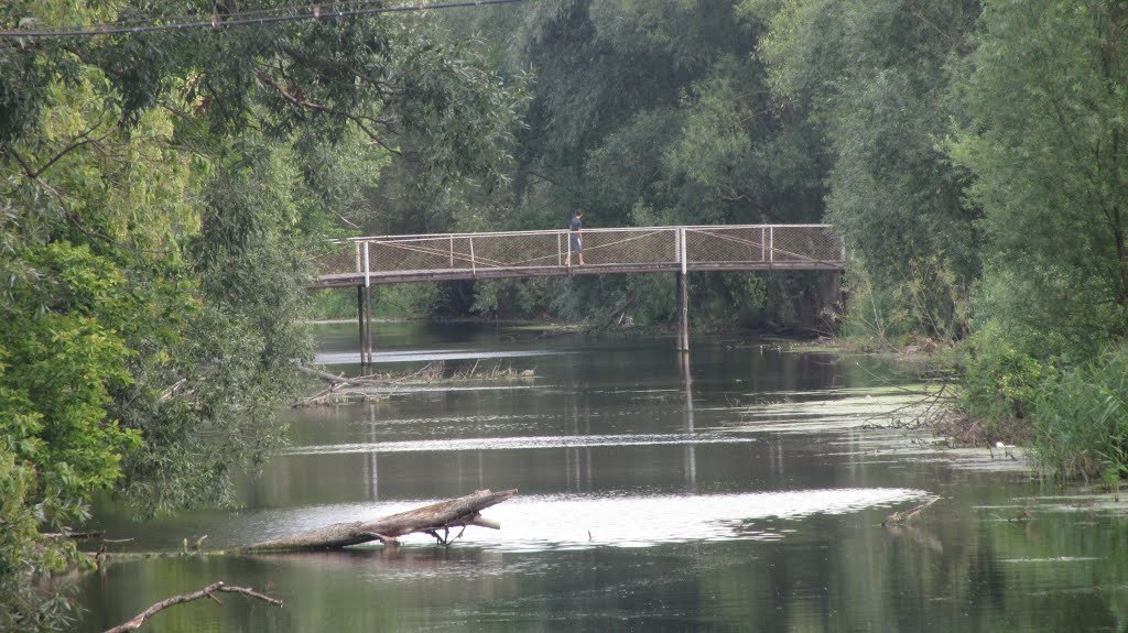 the new(not really) bridge over stinky river, Чутово