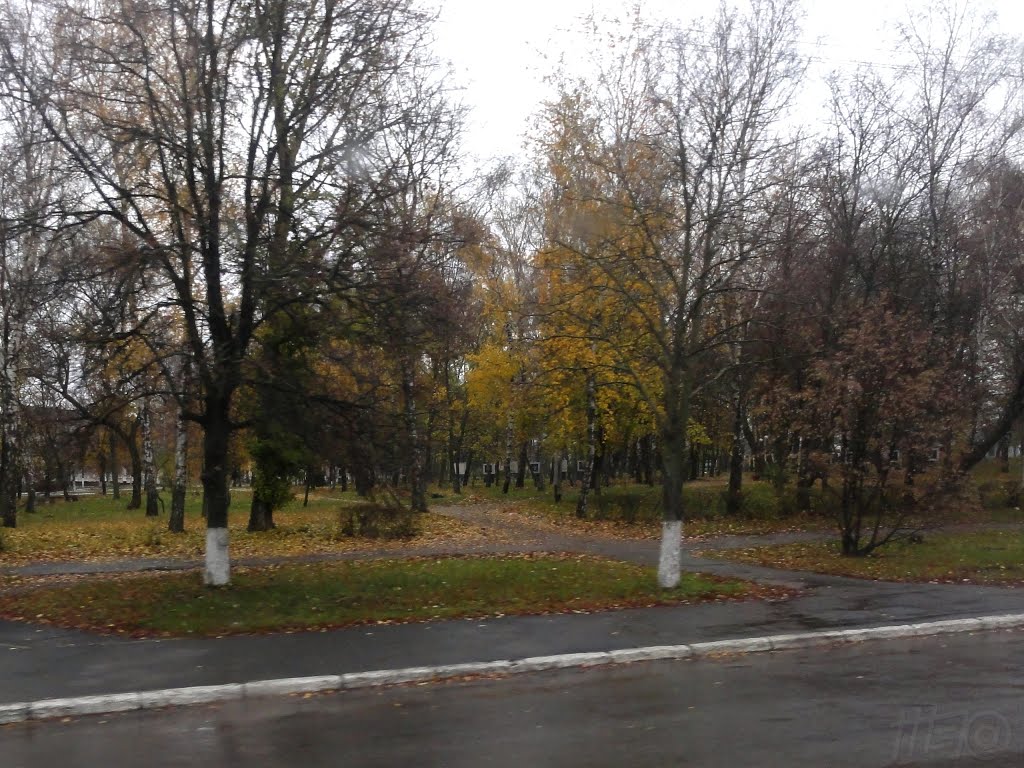 2013.10.27 | Парк в Чутово, Чутово