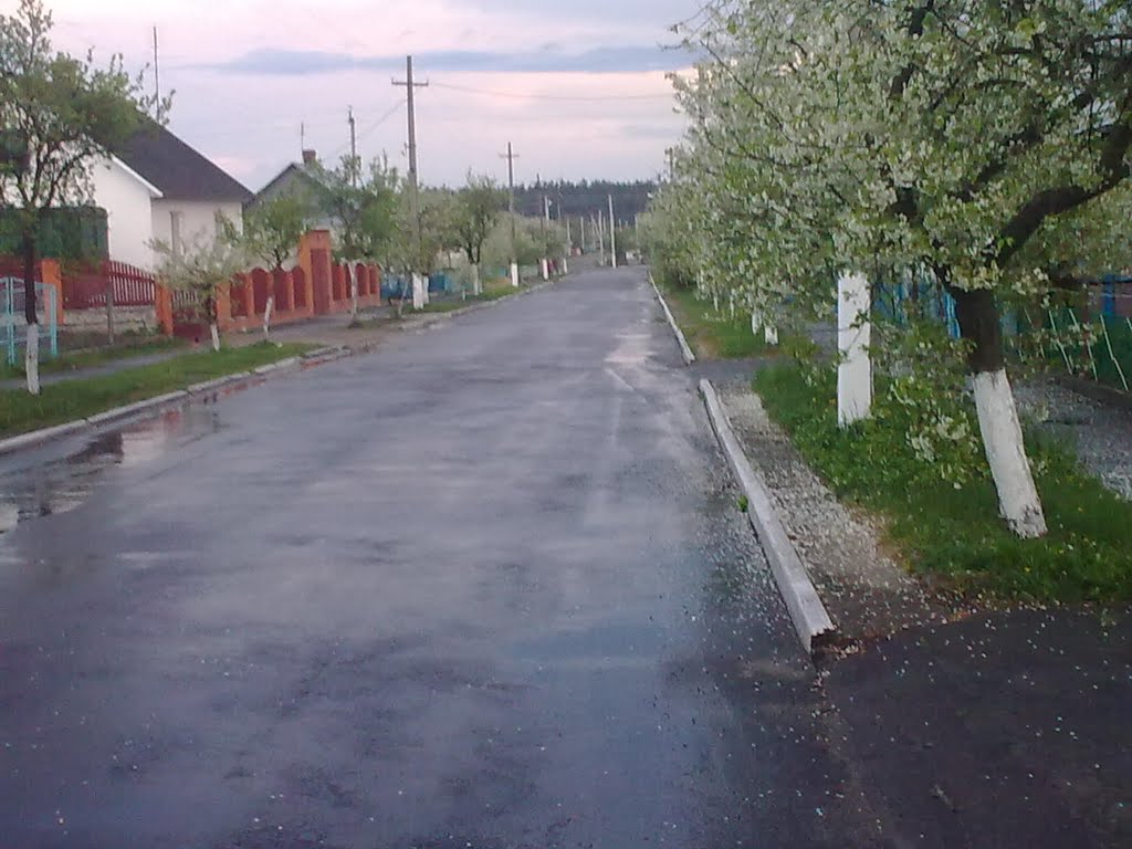 Вулиця Вишнева, Владимирец
