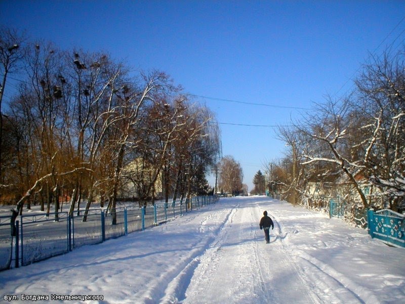 Зимова вул Б Хмельницького, Демидовка