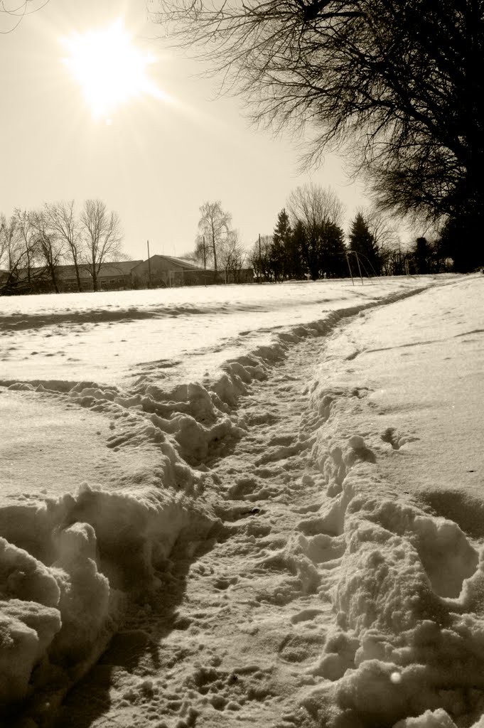 Зимова стежка на стадіоні. Winter trail at the stadium, Демидовка