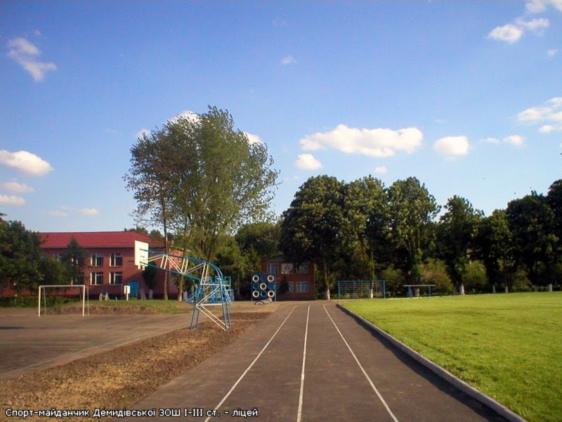 Шкільний стадіон, Демидовка