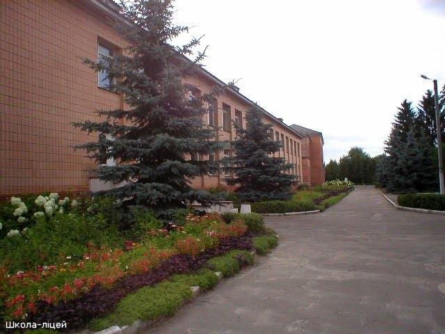 Школа, Демидовка