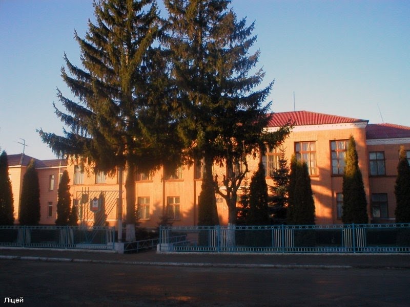 Школа., Демидовка