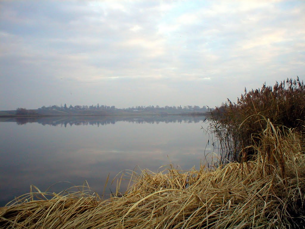 Осінній туман на ставку, Autumn Fog on the pond, Демидовка