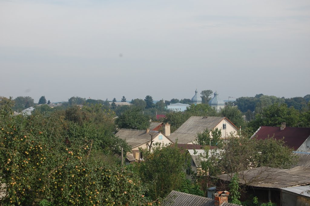 Погляд на церкву над дахами.Looking at the church over the roofs., Демидовка