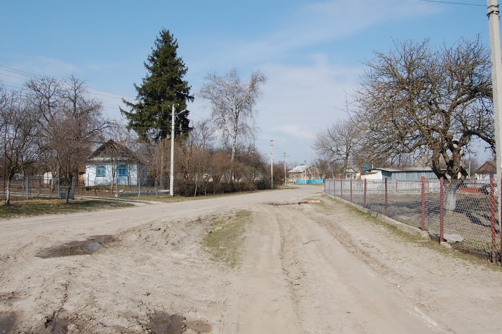 Вулиця Польова. Street Field., Демидовка