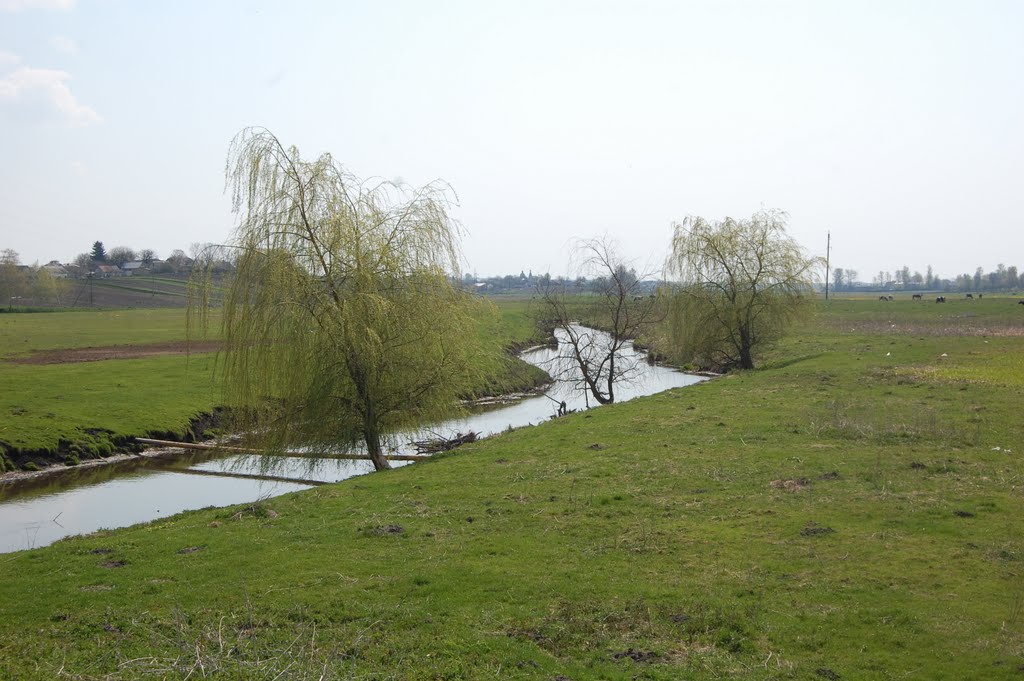 Річка . River., Демидовка