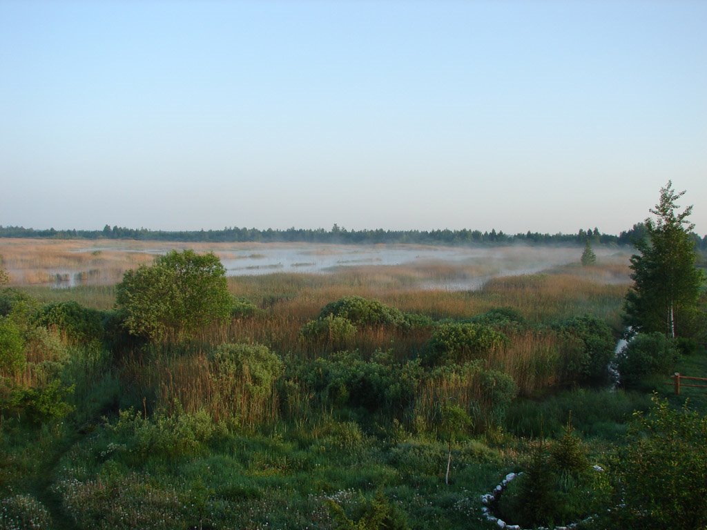 Natural Boundary "Banky", Rivne Natural Reserve, Клесов