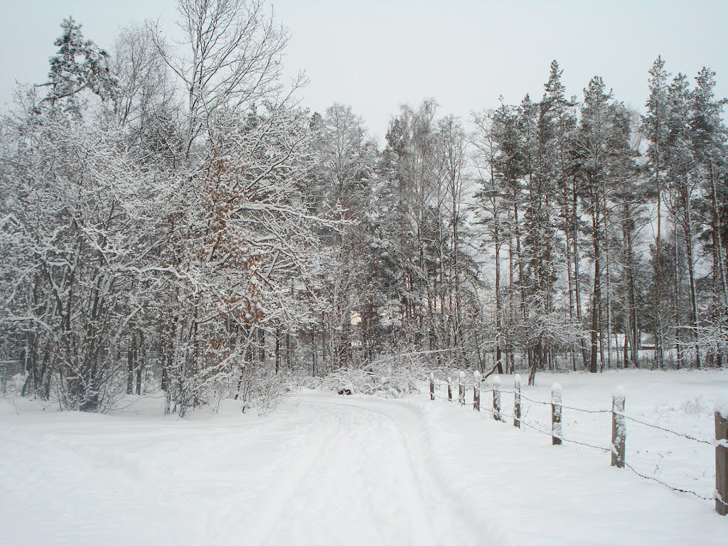 Хутор зимой 2012., Клесов