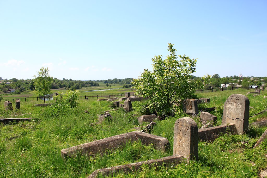 Korets jewish cemetery. The view from the newer part to Noviy Korets., Корец