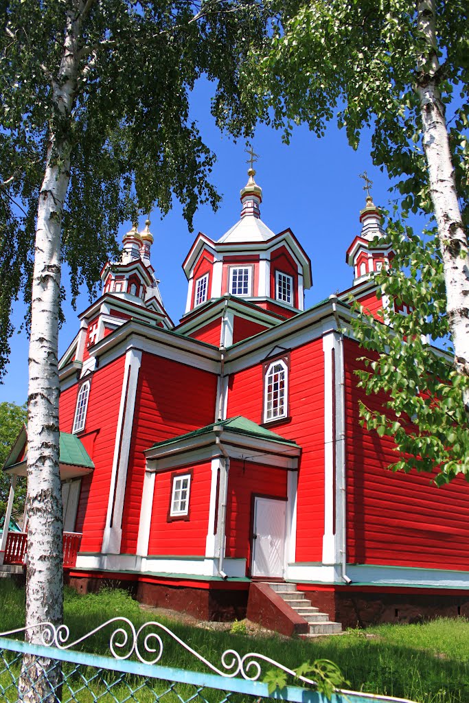 Noviy Korets. St. Paraskeva Friday Orthodox church between the birch trees., Корец