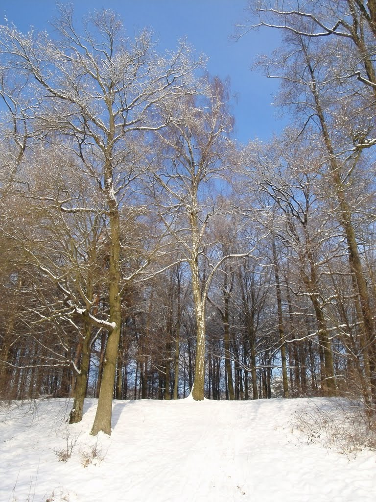 Зима над Замчиськом-1, Костополь