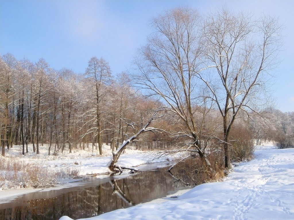 Зима над Замчиськом-2, Костополь