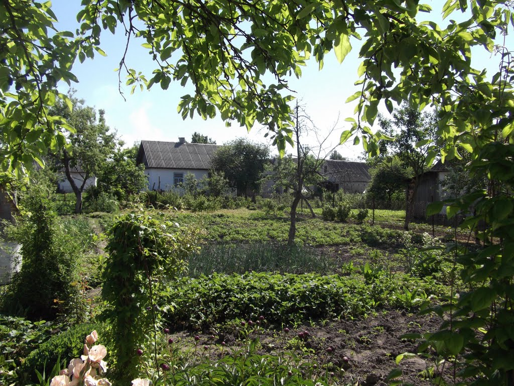 Garden view, Костополь