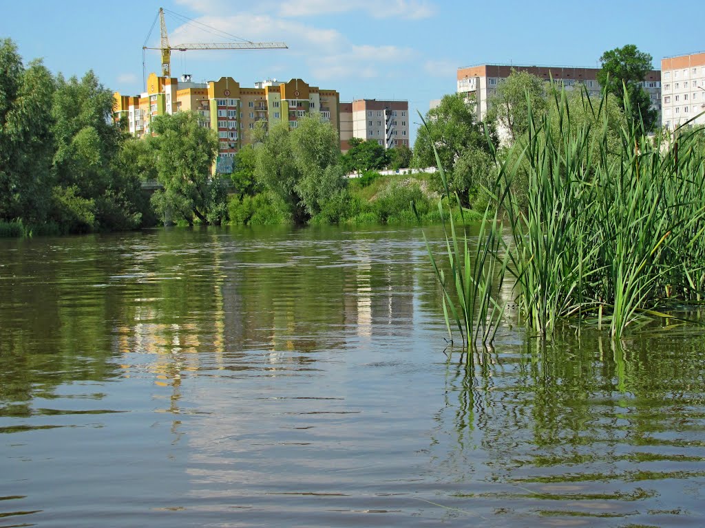 Река Стырь в г. Кузнецовске., Кузнецовск