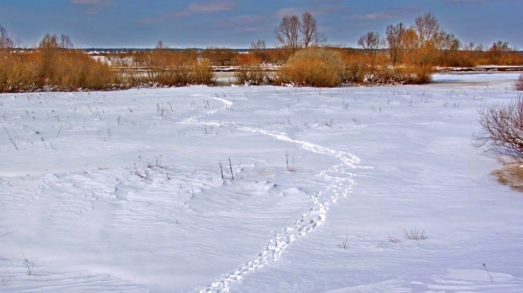 Следы на снегу..., Кузнецовск