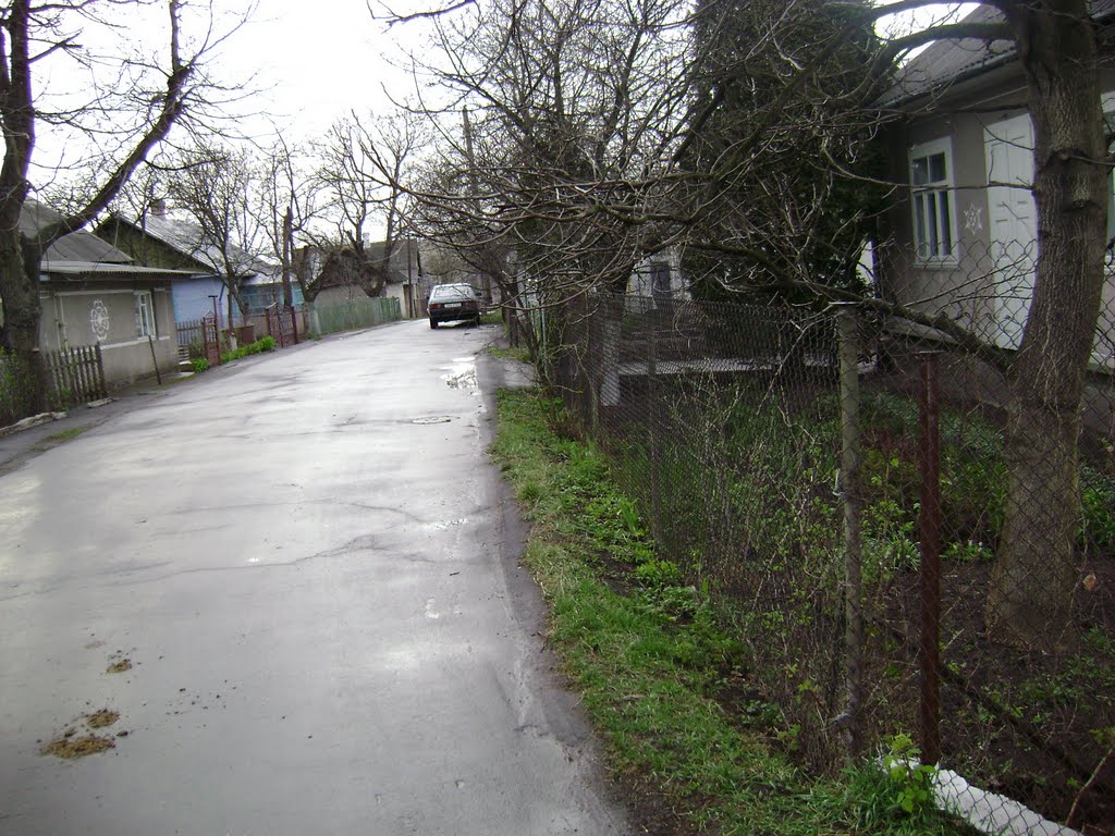 вулиця Куліша Kulish street, Острог