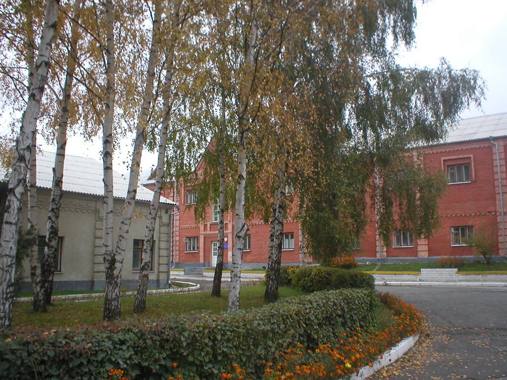 Hostel, Острог