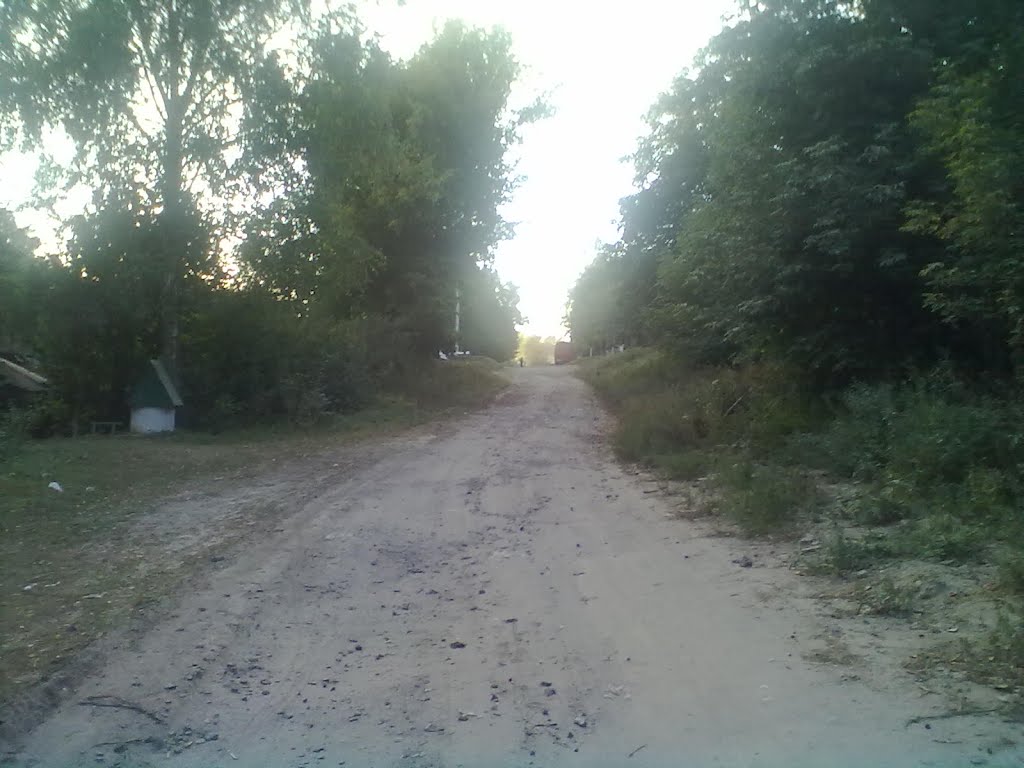 Road 2011, Острог