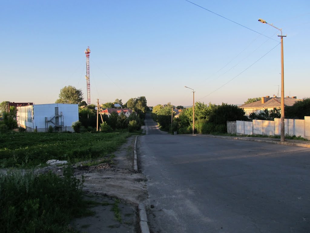 Summer Ostroh, Острог