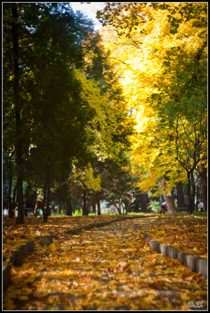 Autumn walking..., Ровно