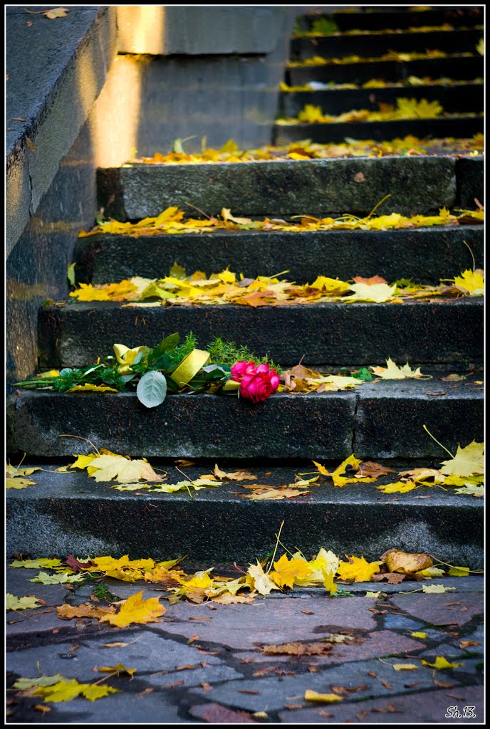 Abandoned bouquet..., Ровно